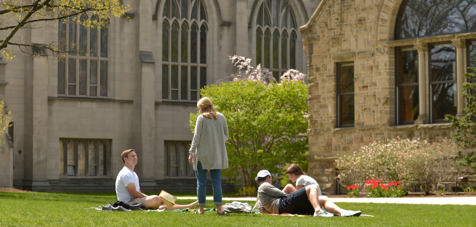 Students sitting on the grass in the Pine Grove at the center of Hope College's campus